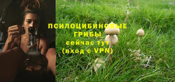 прущая мука Губаха