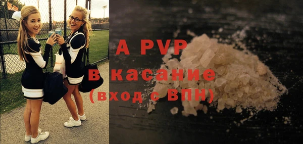дживик Корсаков